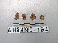 藏品(紅色夾砂陶片)的圖片